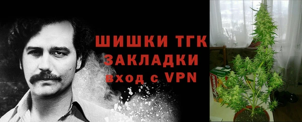 мяу мяу кристалл Новодвинск