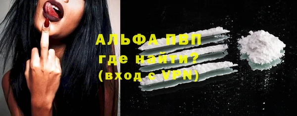ПСИЛОЦИБИНОВЫЕ ГРИБЫ Заречный