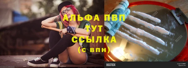 индика Нефтекумск