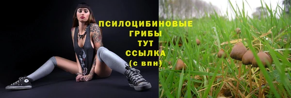 мяу мяу кристалл Новодвинск