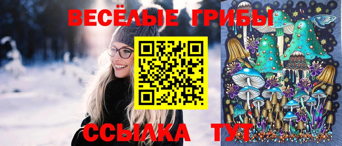 Карталы  Псилоцибиновые грибы Psilocybine cubensis  Вход с VPN 